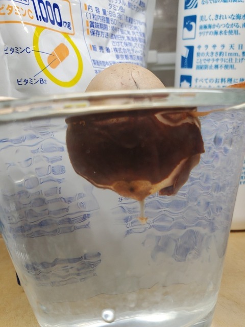 20240930_211511.jpg