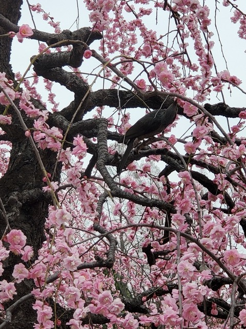 20250313_123445.jpg