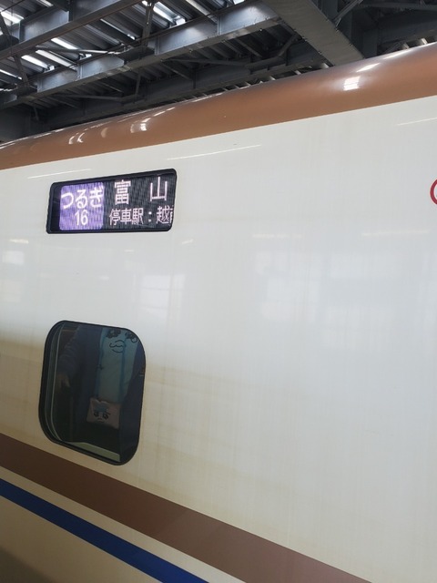 20250322_113459.jpg